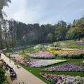 里山ガーデンの写真_558244