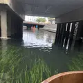 水の都　大垣市の写真_560830