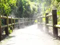 猿島の写真_560984