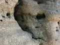 猿島の写真_560987