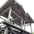 天王川公園の藤の写真_561163