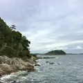 篠島の写真_561209