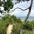 篠島の写真_561212