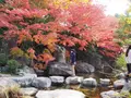 松山城二之丸史跡庭園の写真_561457