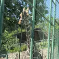 桐生が岡動物園の写真_563846