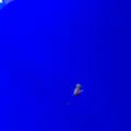 稚内市立ノシャップ寒流水族館の写真_564017