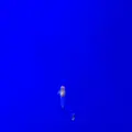 稚内市立ノシャップ寒流水族館の写真_564018