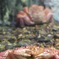稚内市立ノシャップ寒流水族館の写真_564019