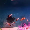 稚内市立ノシャップ寒流水族館の写真_564025