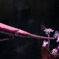 稚内市立ノシャップ寒流水族館の写真_564038