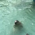 稚内市立ノシャップ寒流水族館の写真_564055