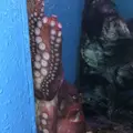 稚内市立ノシャップ寒流水族館の写真_564056