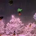 稚内市立ノシャップ寒流水族館の写真_564058