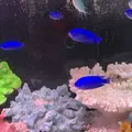 稚内市立ノシャップ寒流水族館の写真_564059