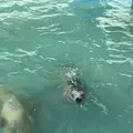 稚内市立ノシャップ寒流水族館の写真_564061