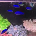 稚内市立ノシャップ寒流水族館の写真_564062