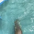 稚内市立ノシャップ寒流水族館の写真_564068