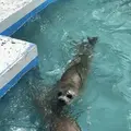稚内市立ノシャップ寒流水族館の写真_564074