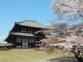 東大寺の写真_564633