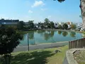 猿沢池の写真_564642