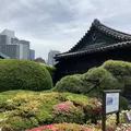皇居東御苑の写真_565552