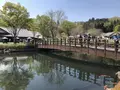 道の駅 川場田園プラザの写真_565631