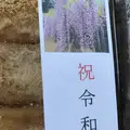 白毫寺の写真_566045