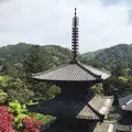 法華山一乗寺の写真_566258