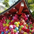 八坂庚申堂の写真_566811