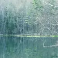 御射鹿池の写真_567731