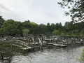 清水公園フィールドアスレチックの写真_568515
