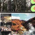 登別地獄谷の写真_569139