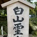 白山比咩神社の写真_570802