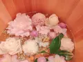 嵐湯 伏見稲荷店の写真_572964