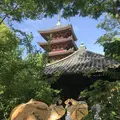 志度寺の写真_573979