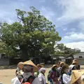 長尾寺の写真_573988