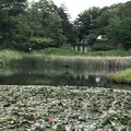 もえぎ野公園の写真_574936