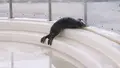 大分マリーンパレス水族館 うみたまごの写真_575014