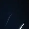 大分マリーンパレス水族館 うみたまごの写真_575016