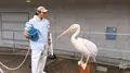 大分マリーンパレス水族館 うみたまごの写真_575021