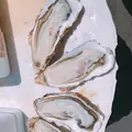 森田水産の写真_575267