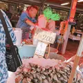 森田水産の写真_575272