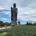 牛久大仏の写真_576354