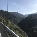 綾の照葉大吊橋の写真_577154