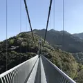 綾の照葉大吊橋の写真_577155
