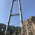 綾の照葉大吊橋の写真_577156
