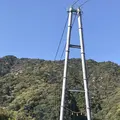 綾の照葉大吊橋の写真_577157
