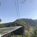 綾の照葉大吊橋の写真_577158