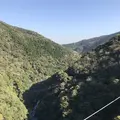 綾の照葉大吊橋の写真_577159