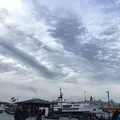 イスタンブルの写真_577767